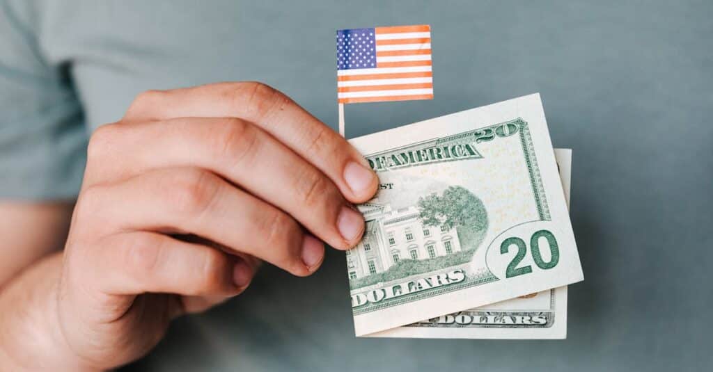 crop person showing twenty dollar bill and miniature usa flag- Thom Tax